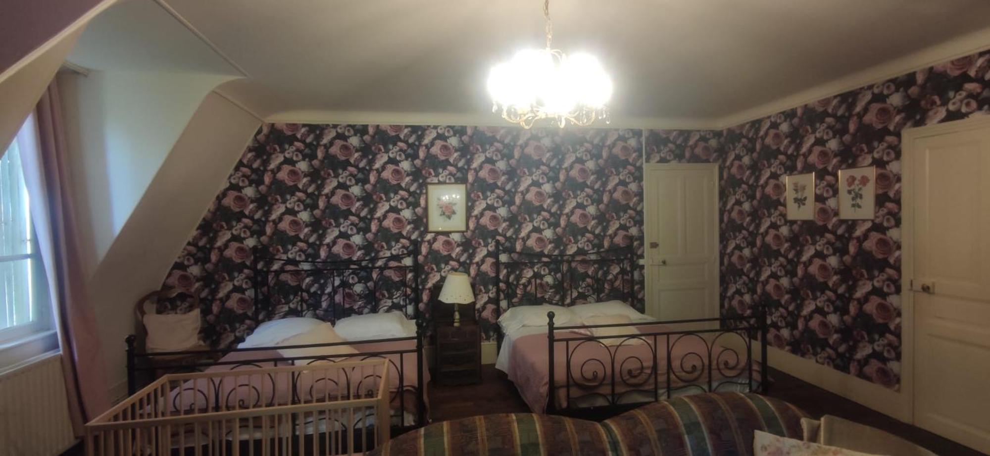 Chambres D'Hotes-Chateau Constant Bessines-sur-Gartempe Zewnętrze zdjęcie