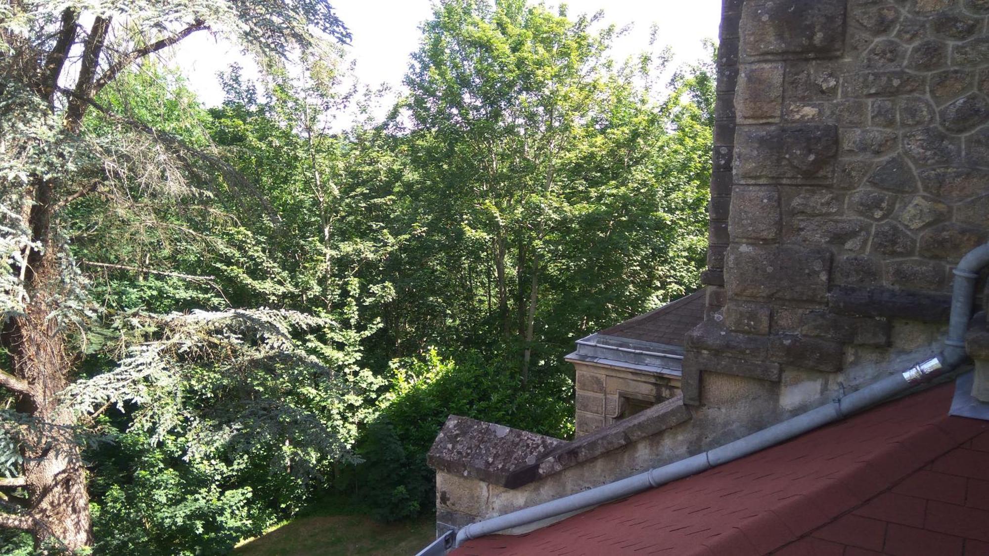 Chambres D'Hotes-Chateau Constant Bessines-sur-Gartempe Pokój zdjęcie